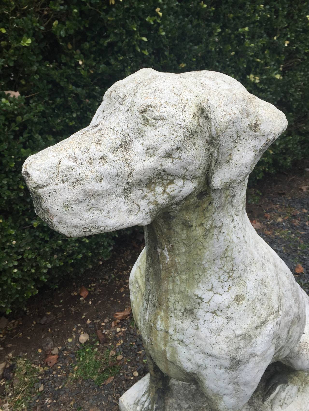 Molded Huge Pair of English Sentry Dog Statues