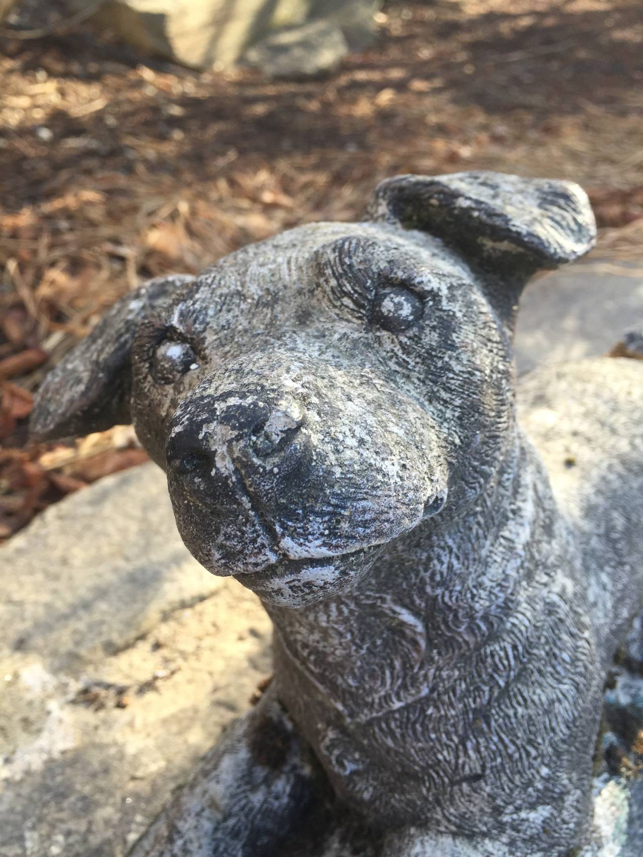 English Cast Stone Puppy Statue with Ball 3