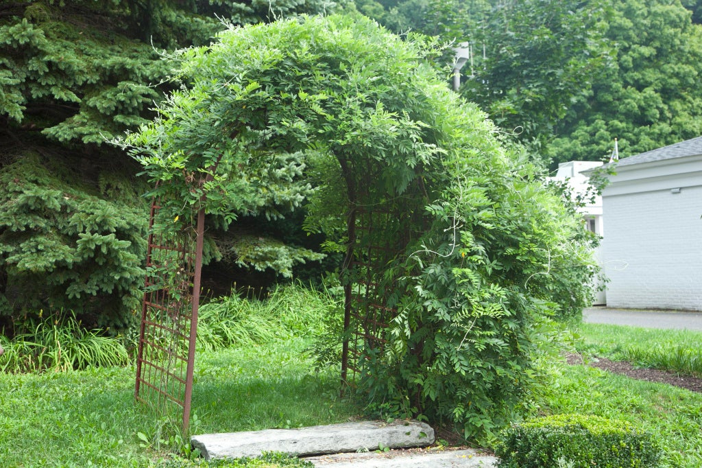 Many years ago we were fortunate enough to buy this sensational woven wrought iron arbor from a prominent Saratoga Springs estate. Dating to the turn of the century, it is in amazing condition and, as you can see from the photos, is not only