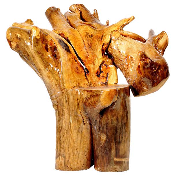 Contemporary Natural Lacquered Root Chair Crafted from Camphor Wood For ...