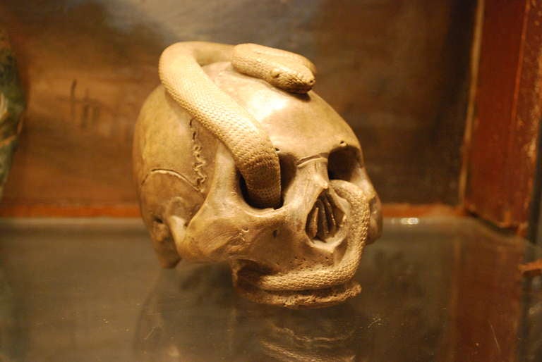 Ceramic Meiji Okimono Skull Japanese In Excellent Condition In Montecito, CA
