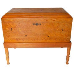 19th Century Mexican Sabino Wood Chest