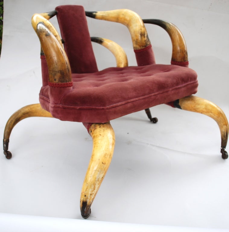 20th Century Excellent  Horn Chair American