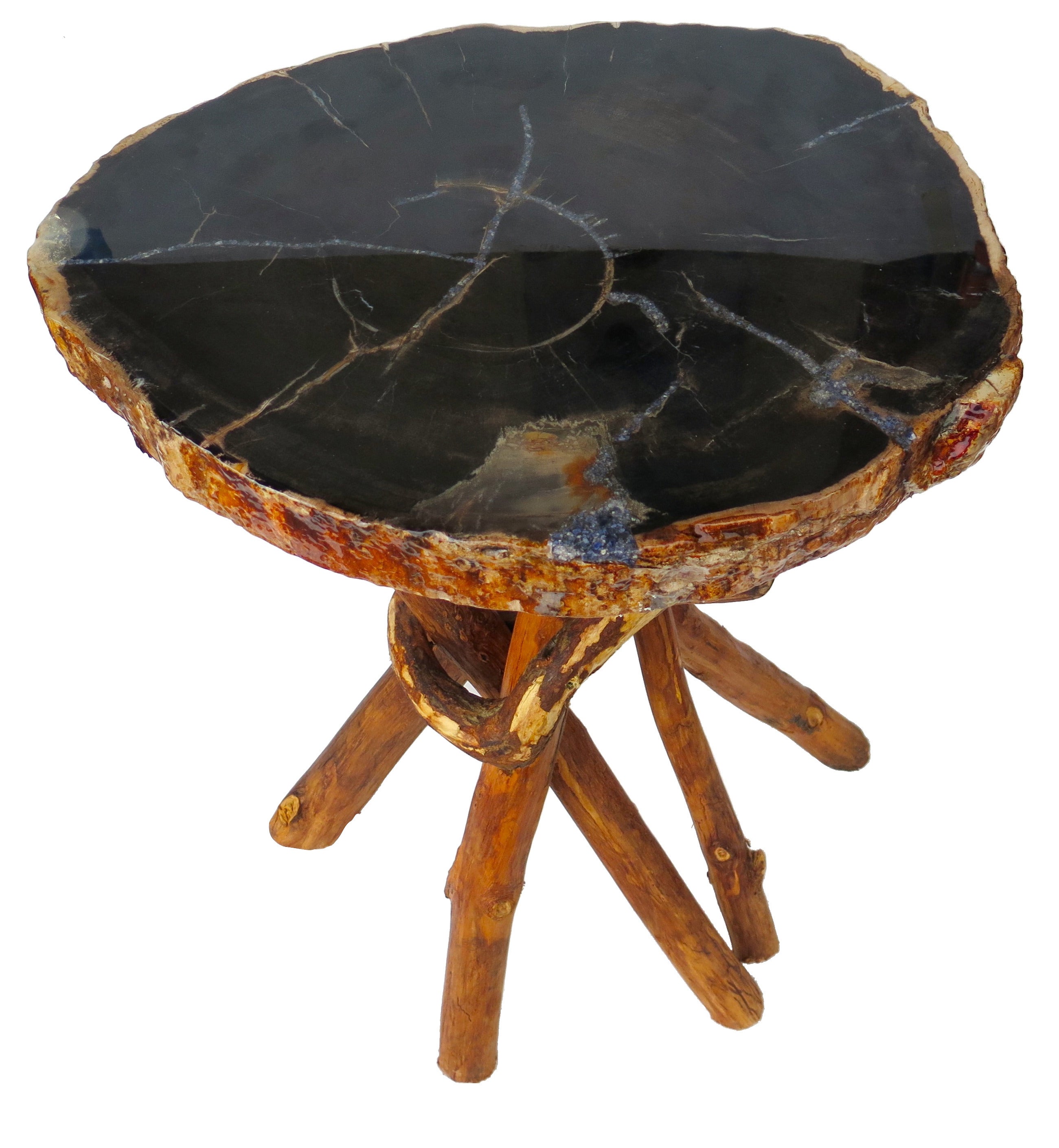 Petrified Wood Side Table with Branch Base