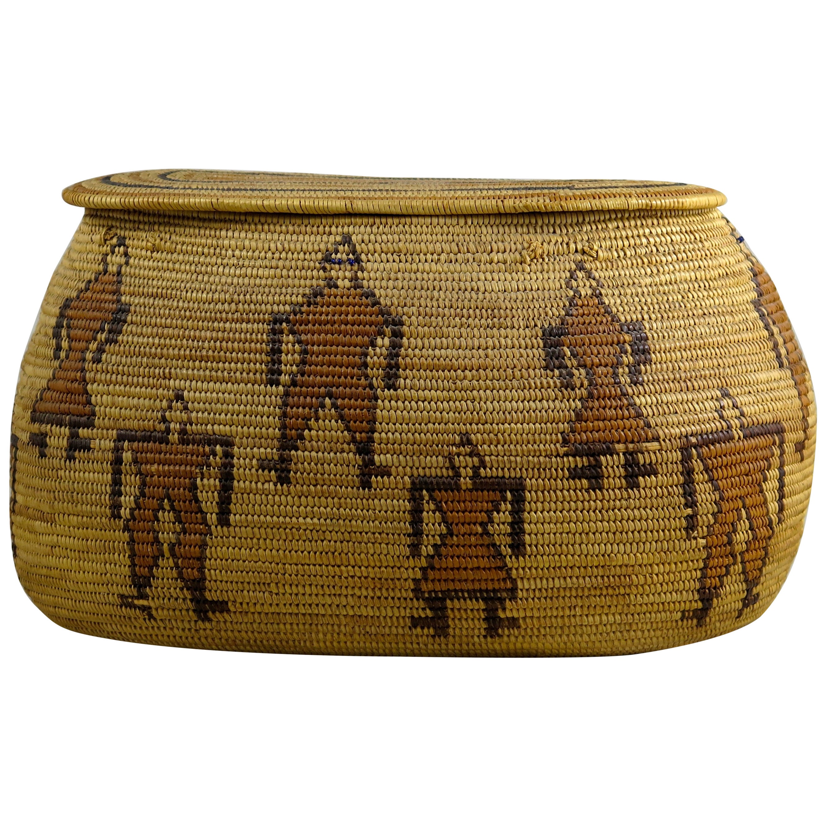 Rare 29 Palms Chemehuevi Native American Basket, Early 20th Century For Sale