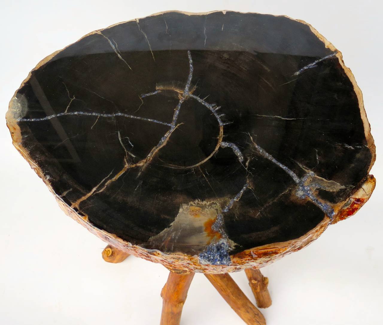 Black Petrified wood table top with woven branch base. Side or end table height.