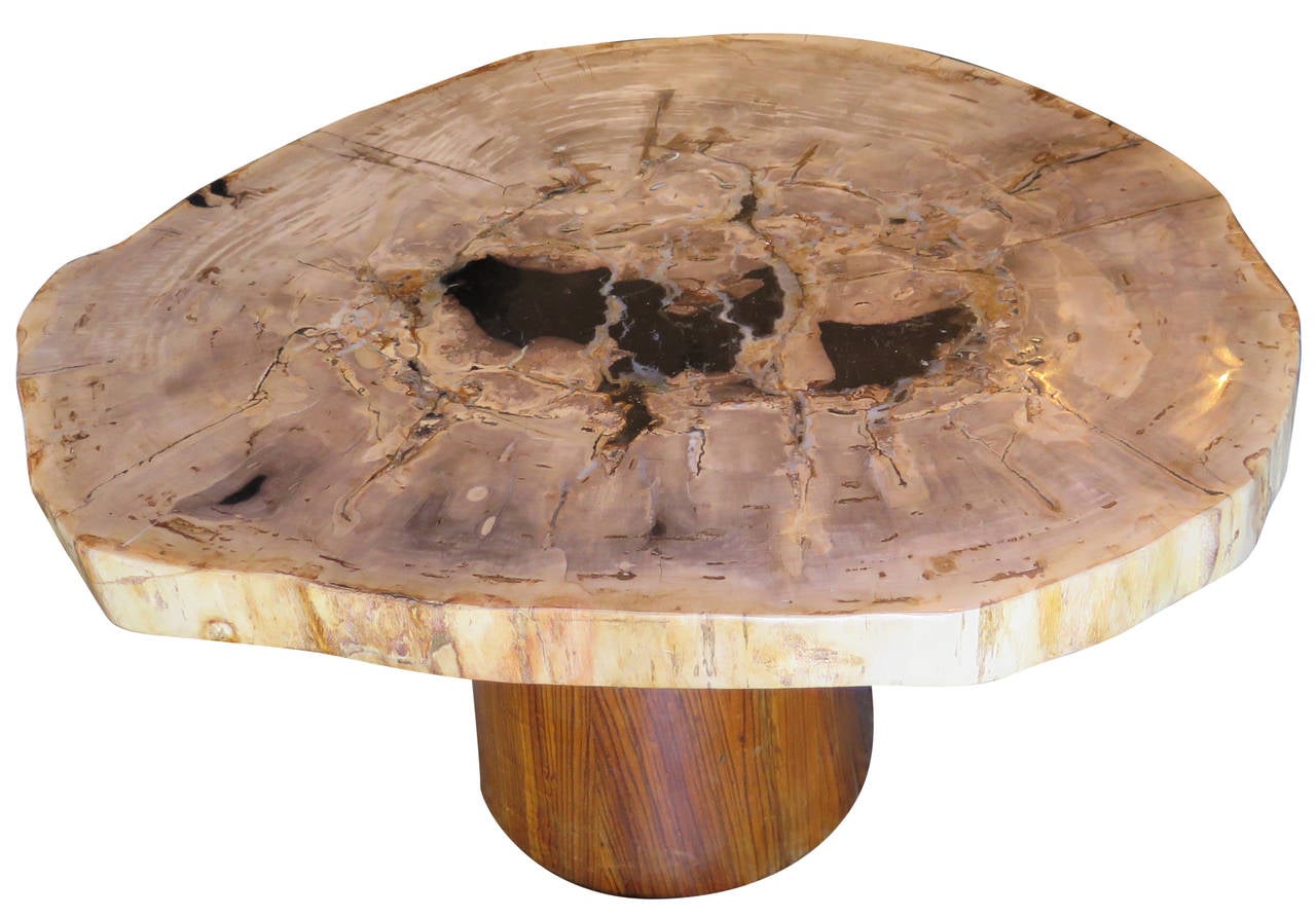 Petrified Wood Coffee or Cocktail Table with Mid Century Base at 1stDibs