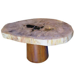 Petrified Wood Coffee or Cocktail Table with Mid Century Base 5