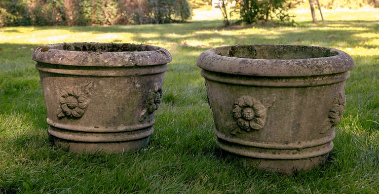 Neoclassical Sunflower Planters