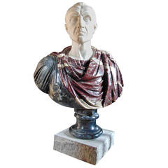 19th Century Specimen Marble Bust of Roman, Possibly Brutus 1