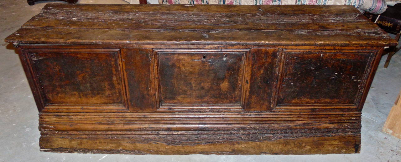 Period Baroque paneled fruitwood or walnut cassone or marriage chest.

--stabile hard fruitwood.
--Paneled construction.
--Great board.
--Magnificent patina.
--Would make a great serving piece.
--Spanish or Italian.