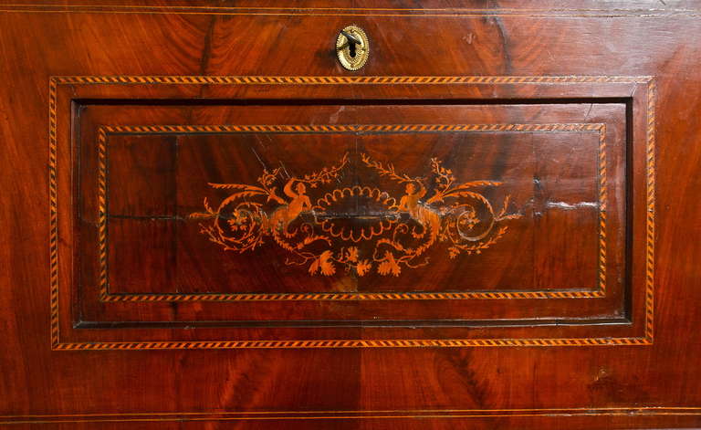Period Austrian Biedermeier Fallfront Secretary or Secretaire Abattant

--Mahogany and Ebony
--Fitted Interior
--Neoclassical Panel in Front