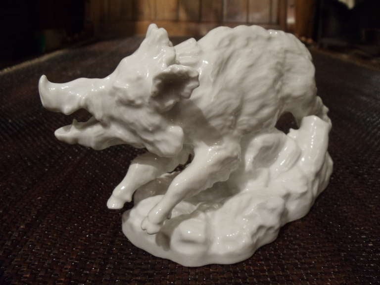 Period 18th Century Doccia Porcelain Boar, White Glazed 

--Naturalistically modelled
--Pierced Holes on one side for wooden skewers
--Most Likely One of Many Used as Table Ornamentation During a Banquet