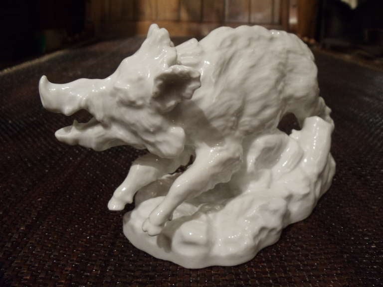 Rare 18th Century Doccia (ginori) Porcelain Boar