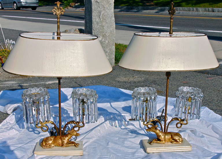 PAIR of Neoclassical Regency Crystal and Ormolu Grehhound Form Two Arm Candelabra Mounted as Lamps

--Realistically Modelled Greyhounds or Whippets Seated in Pose
--Serpents Issuing to Hold Two Arm Crystal, Possibly Irish in