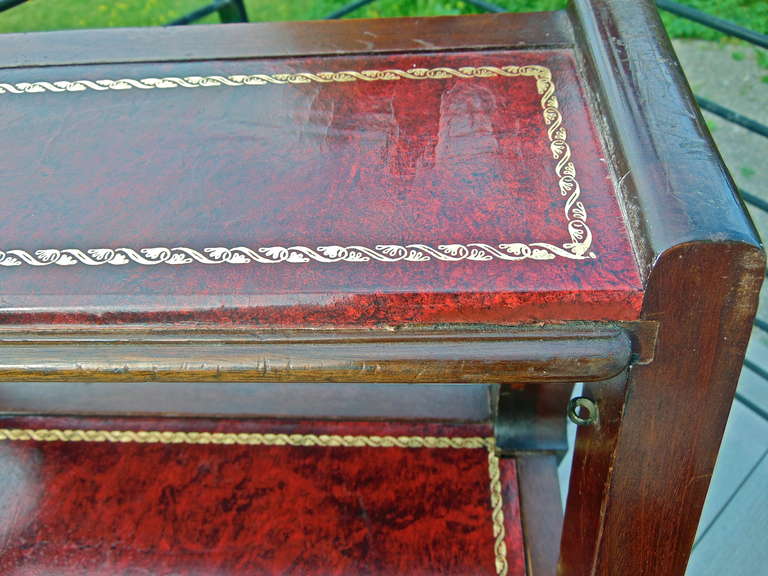 Georgian Style Metamorphic Chippendale Chair and Library Steps 4