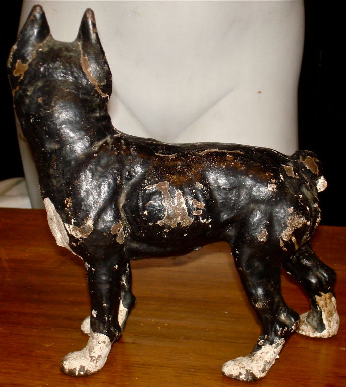 Original Boston Terrier Doorstop in Cast Iron.  Original Painted Surface.  One of A Collection Used in the Matthew McConnahaugh Movie, Ghosts of Girlfriends Past, Used in His Bedroom.