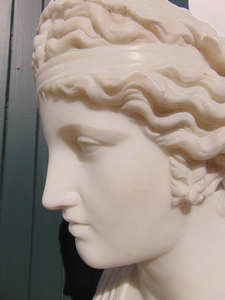 Pair of Mid-19th Century Neoclassical Carrera Marble Busts of Goddesses 3