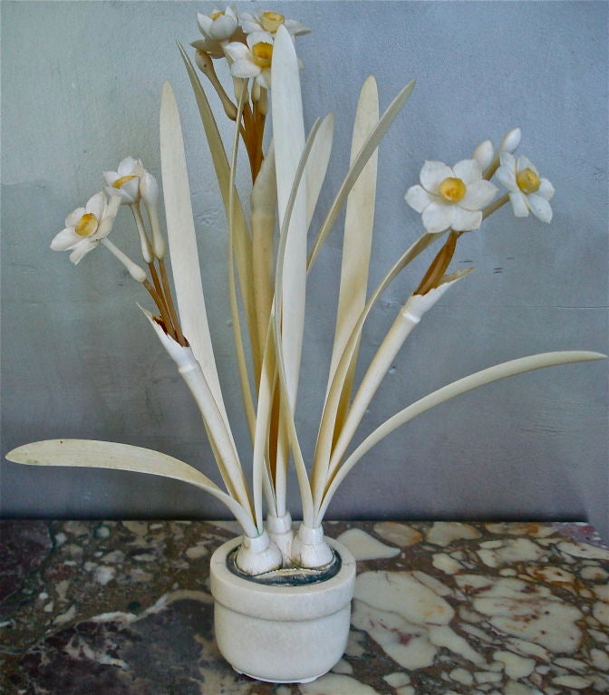 Amazingly Realistically Carved (from one piece) Ivory Narcissus in Bulb Pot.  Signed on Base