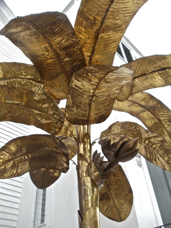 European Massive Mid-Century Lacquered Brass Banana Tree