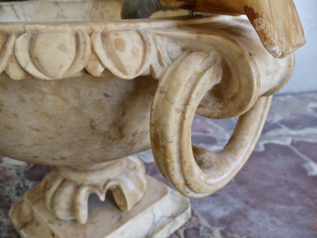 Italian Grand Tour Alabaster Doves of Pliny