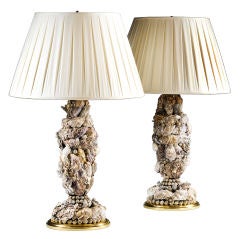 A Pair of Shell Lamps by Tessa Morley