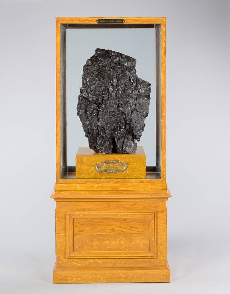 A most unusual and very large piece of coal mounted in a simulated pine display case bearing the inscription 