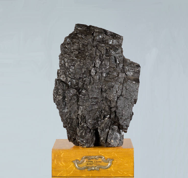Museum Sample of Italian Coal In Excellent Condition In New York, NY