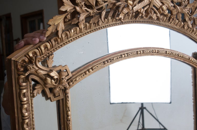 French Louis XVI Style Giltwood Paraclose Mirror 1