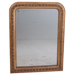 French Louis Philippe Style Egg & Dart Mirror