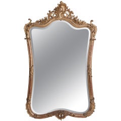 Louis XV Style Rocco Gilt Wood Mirror