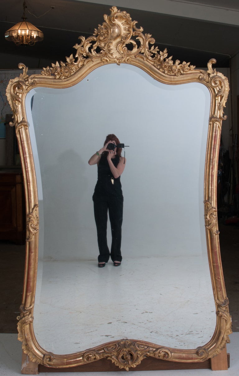 Rococo Louis XV Style Rocco Gilt Wood Mirror