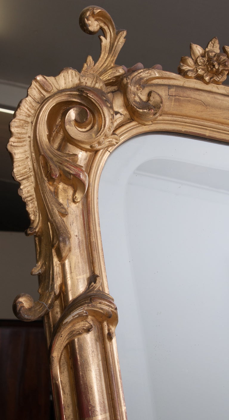 19th Century Louis XV Style Rocco Gilt Wood Mirror