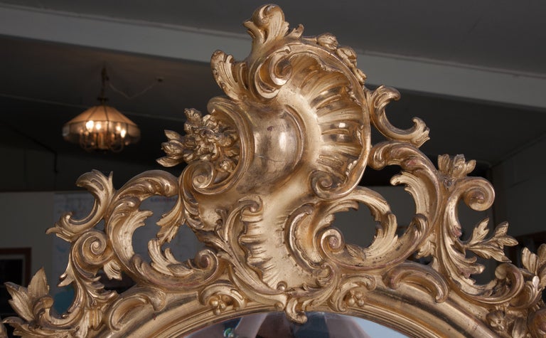 French Louis XV Rococo style gilt wood mirror of elegant serpentine shape with arched top frame mounted by a pierced and carved acanthus shaped cartouche surrounding the original hand cut beveled mercury mirror