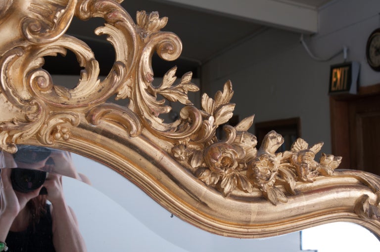 Louis XV Style Rocco Gilt Wood Mirror In Excellent Condition In Baton Rouge, LA