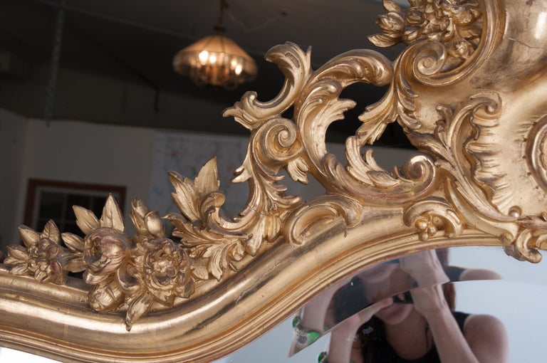 French Louis XV Style Rocco Gilt Wood Mirror