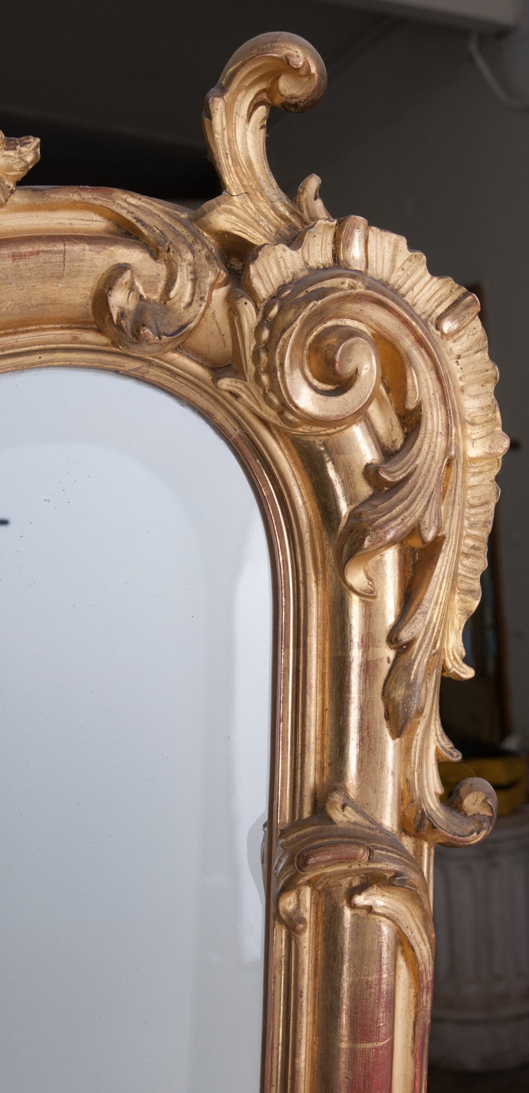 Louis XV Style Rocco Gilt Wood Mirror 1