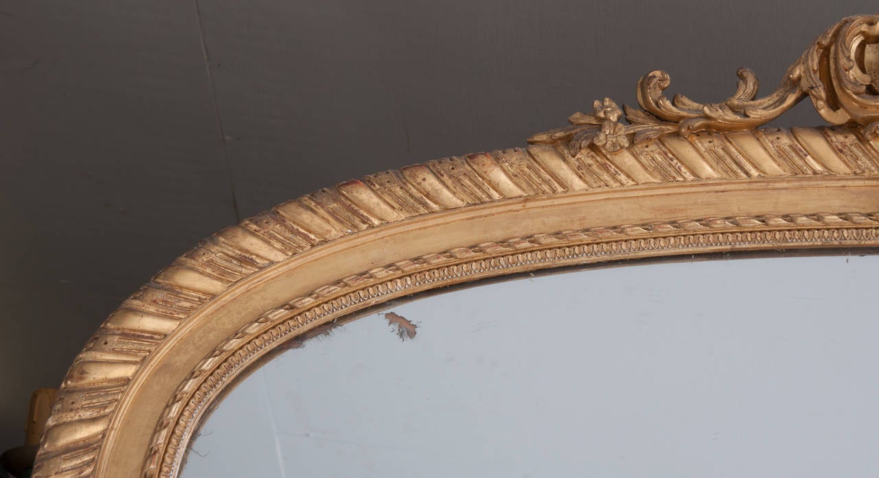 Massive French 19th Century Louis XV Style Gold Gilt Mirror 1