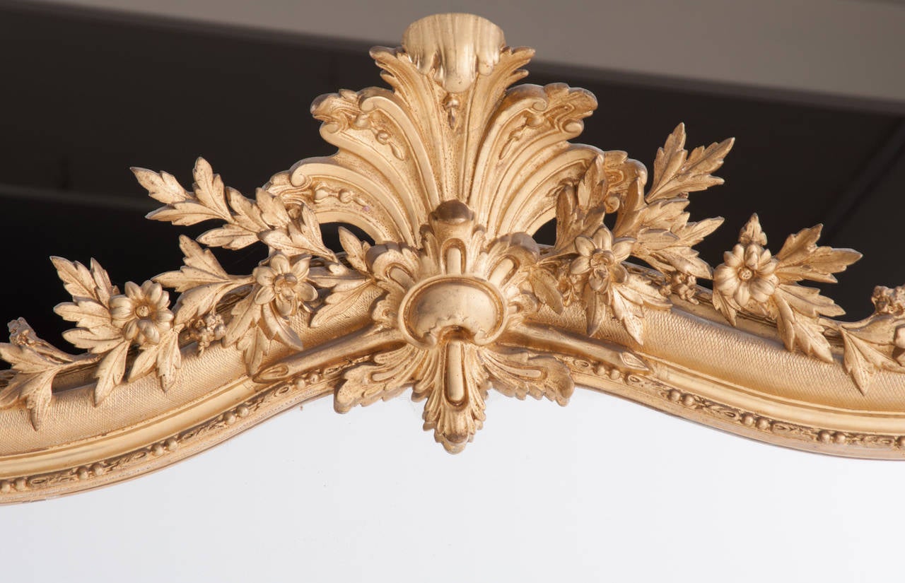 French 19th Century Louis XV Gold Gilt Mirror 1