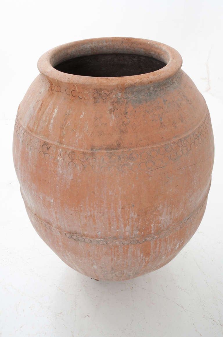 Spanish 19th Century Terra Cotta Olive Oil Jar 3