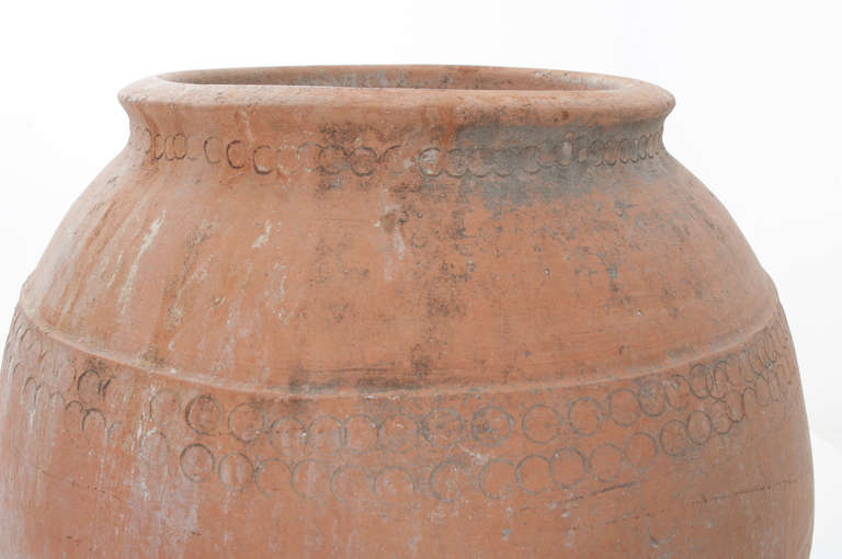 Spanish 19th Century Terra Cotta Olive Oil Jar 1