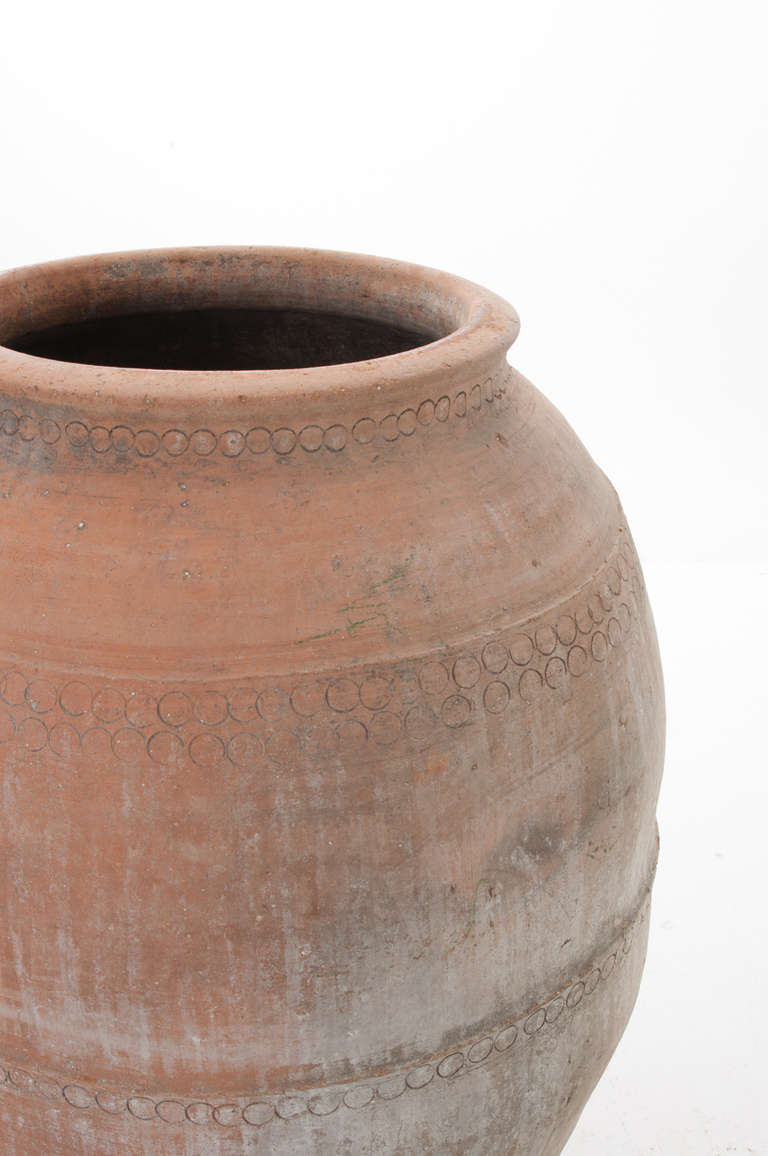 Spanish 19th Century Terra Cotta Olive Oil Jar In Good Condition In Baton Rouge, LA