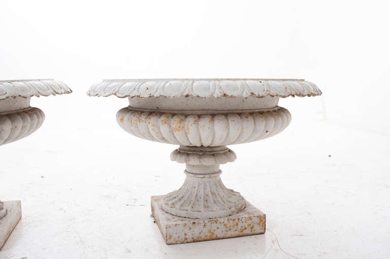 French 19th Century Pair of Painted Cast Iron Urns In Excellent Condition In Baton Rouge, LA