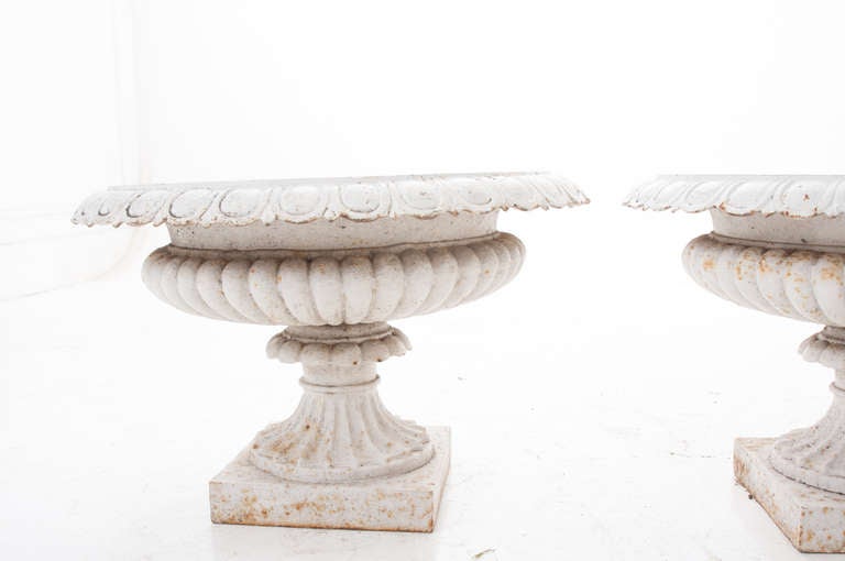 French 19th Century Pair of Painted Cast Iron Urns 1