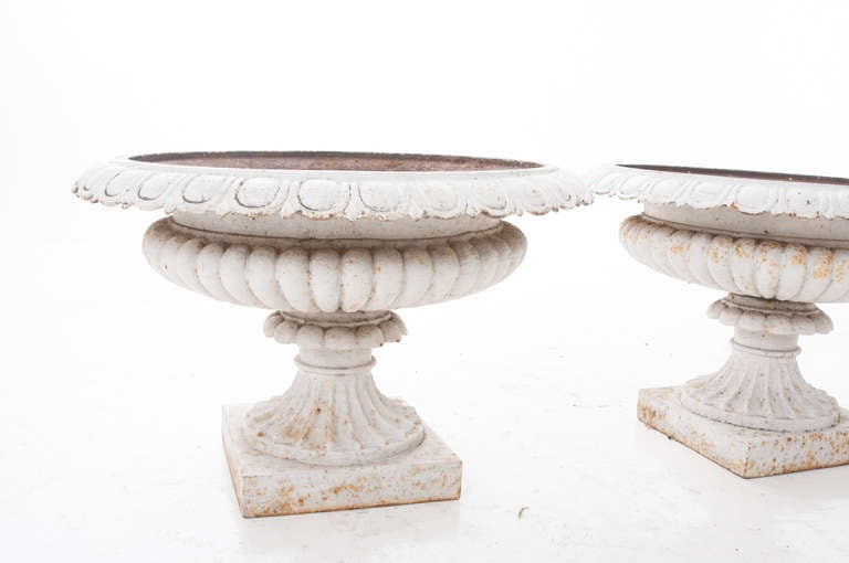 French 19th Century Pair of Painted Cast Iron Urns 2