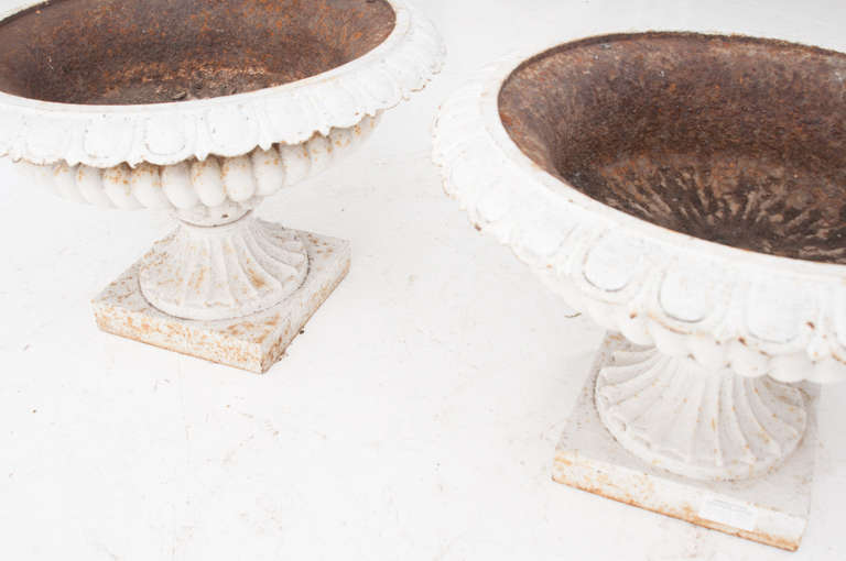 French 19th Century Pair of Painted Cast Iron Urns 7