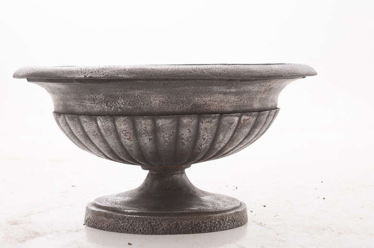 Charles X polished cast iron oval urn of wonderful size and patina. A very heavy statement urn. 1830.