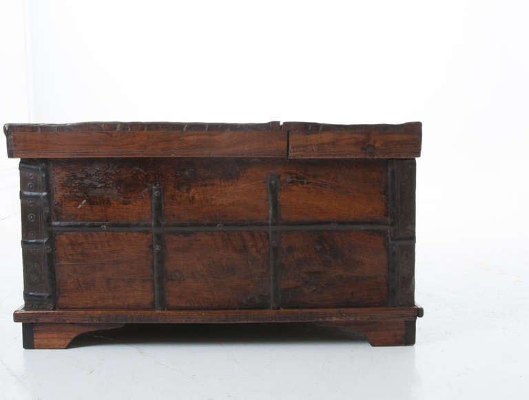 19th Century Anglo Indian Exotic Wood Trunk 2