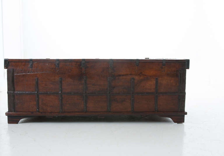 19th Century Anglo Indian Exotic Wood Trunk 4