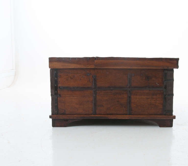 19th Century Anglo Indian Exotic Wood Trunk 3